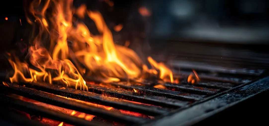 Guia da defumadora perfeita