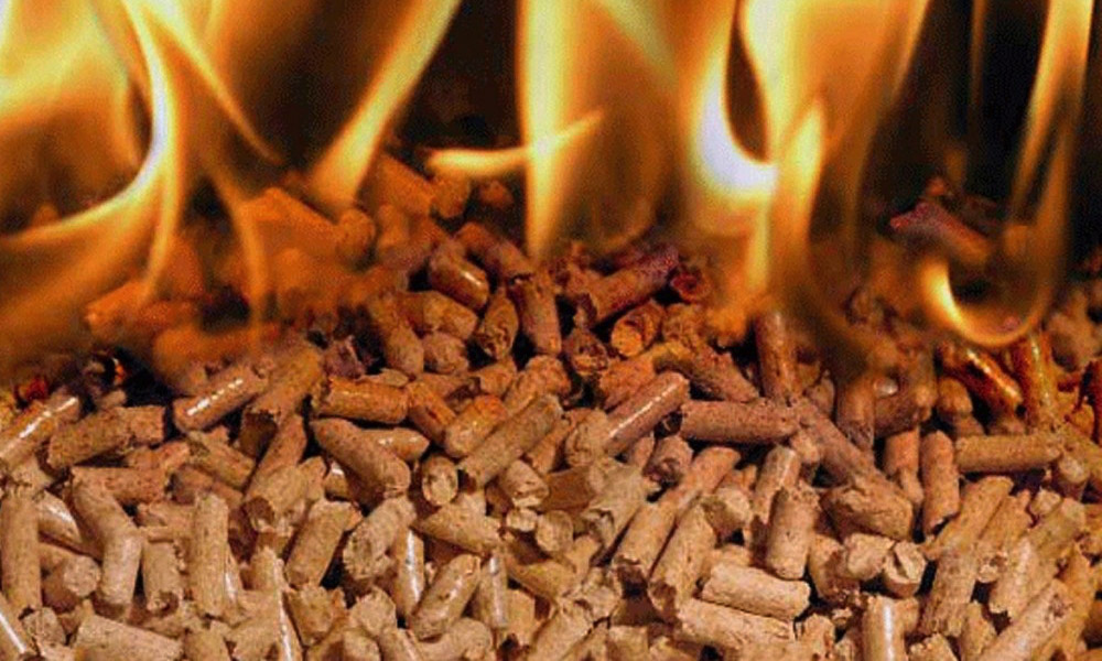 Pellet Curitiba - 8 critérios para escolher os melhores pellets